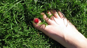 spa pedicure at home